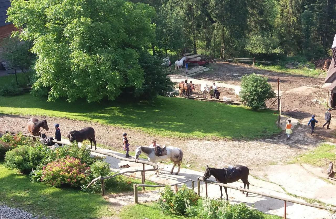 Gorski Osrodek Jezdziecki Bukowina Tatrzańska Exteriör bild